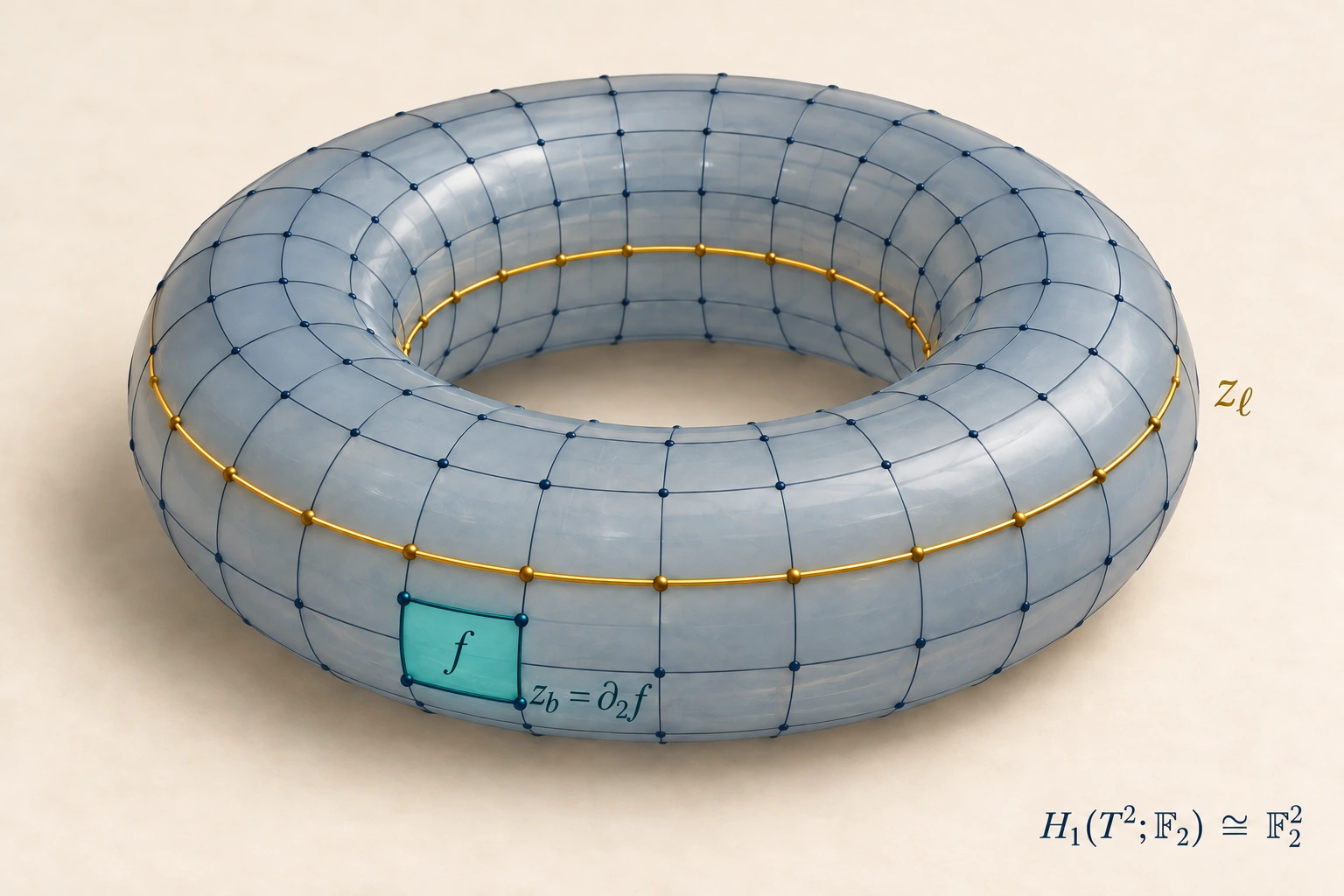 Conceptual cellular torus comparing a loop that bounds a face with an essential loop that does not bound a two-chain.